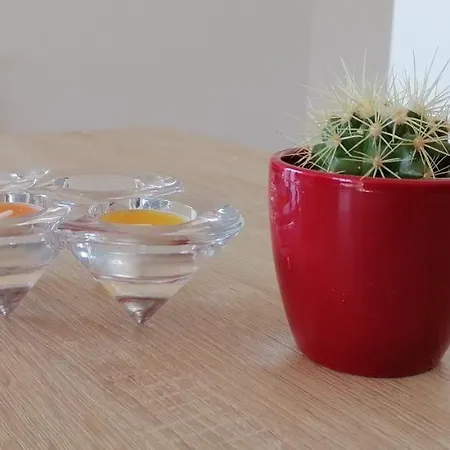 Big In - Extra View *